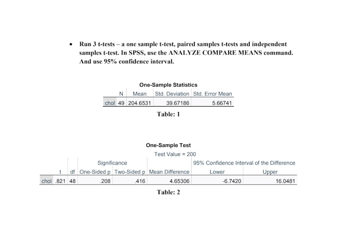 do excel statistics analysis research report financal modeling and spss analysis